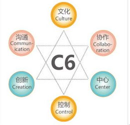 金和C6六脈神劍 助力企業跨越管理黑洞，實現高效運營
