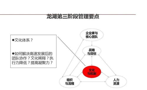 龍湖集團 精細化管理鑄就卓越運營與穩健成長